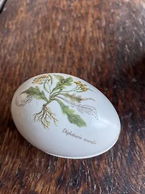 Buy Poole Egg Shaped Lidded Trinket Pot Decorated Diplotaxis Muralis • 4£