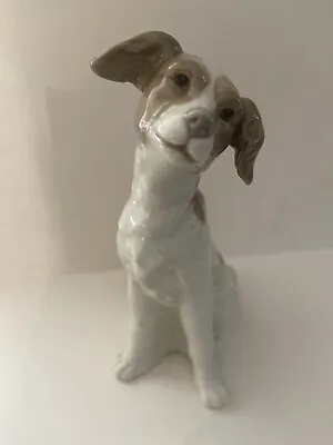 Buy Nao Lladro Figurine Dog Sitting Dog Daisy 1978 Retro Collectable • 35£