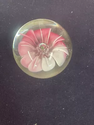 Buy  Floral Bubble Paperweight Glass Clear  3 • 9.99£