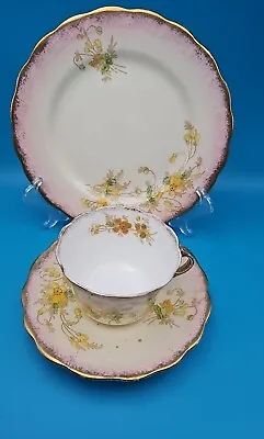 Buy Antique 1905 Royal Albert Crown China Blushware Tea Trio Cup Saucer & Side Plate • 10£
