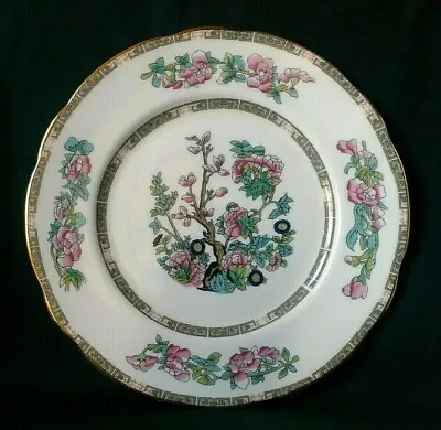 Buy Duchess Indian Tree Luncheon Plate Bone China Salad Plate Or Breakfast Plate • 21.95£