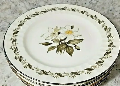 Buy Royal Worcester ENGADINE Salad Plates 8 1/4  Imperfect SOLD INDIVIDUALLY  • 10.47£