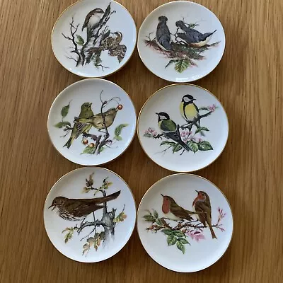 Buy Set Of 6 Coalport Decorative Bone China Miniature  Plates  Birds Design • 24.99£
