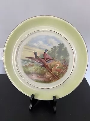 Buy Grimwades Upper Hanley Pottery Pheasant Plate • 10.99£