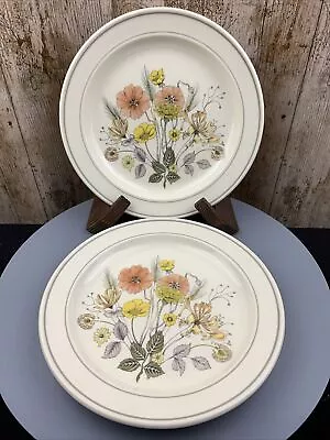 Buy Rare 2 X J & G Meakin Trend HEDGEROW Large Dinner Plates 10.25 Inch Wild Poppies • 12£