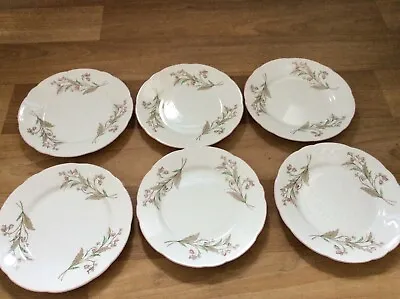 Buy 6 X Royal Stafford Bone China  Side Plates- Blossom Pattern  - Freepost Uk • 12.99£