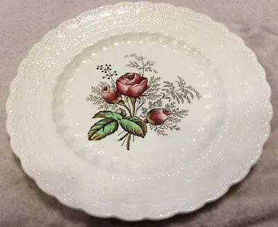 Buy Vintage 1926 Spode’s Jewel Copeland Multiple Rose Dinner Plate Scarce Pattern 9” • 6£
