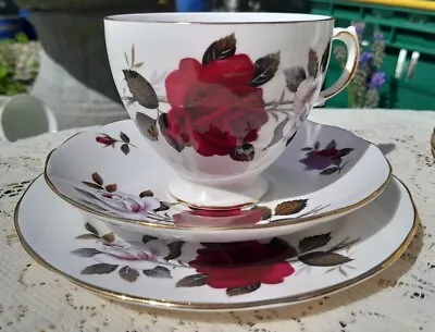Buy 💕Vintage Matching TRIOS Cup/Saucer/Plate Floral China Afternoon Tea/Weddings💕 • 4.95£