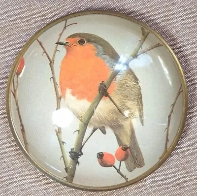 Buy Vintage Nigel Pain Winter Robin,RSPB Individually Made Paperweight  • 8.75£