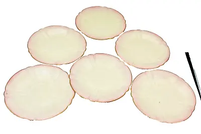Buy Rare Set 6 Belleek Pink Echinus Porcelain Dessert /Bread Plates 1st Black Mark • 477.07£