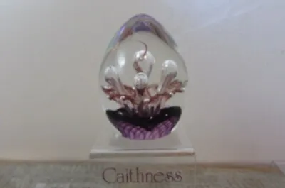 Buy Beautiful Caithness Classic Collection MOONFLOWER ECHOES Paperweight - (ref.623) • 49.99£