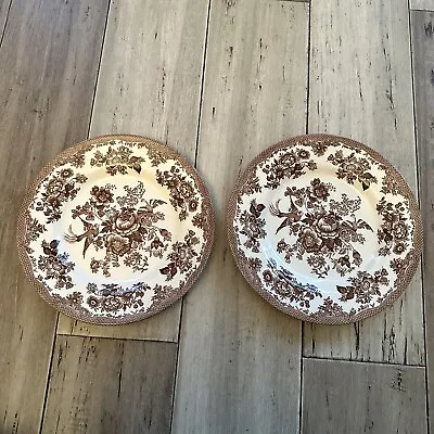 Buy Asiatic Pheasant Brown Royal Stafford Lot Of 2 Salad Plates England Earthenware • 38.35£