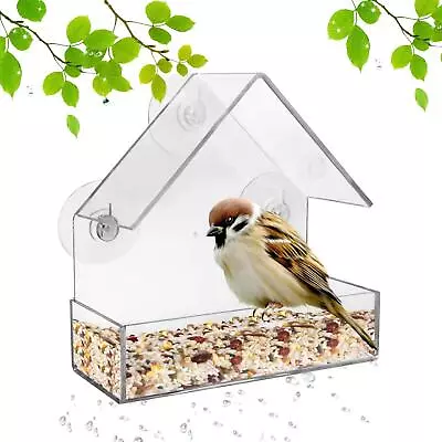 Buy 2 X GLASS WINDOW BIRD FEEDER SEED PEANUT HANGING SUCTION PERSPEX CLEAR VIEWING • 9.95£