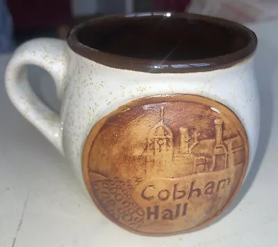 Buy Pottery Mug By Nick Edwards Ceramics Of Wales Depicting Cobham Hall • 3.50£