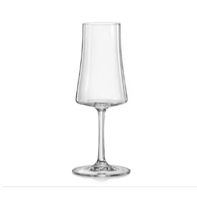 Buy Elegant And Modern Xtra Luxury Champagne Glassware Set For Hosting Parties • 66.28£