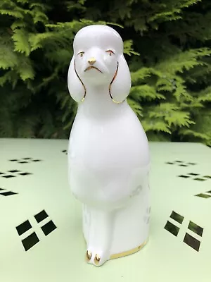 Buy Royal Vale Bone China Dog Figurine • 22£