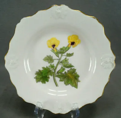Buy Ridgway Pattern 805 Golden Flowered Henbane Grape Mold & Gold Plate C. 1810-1814 • 142.98£