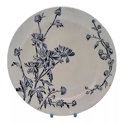 Buy Jones George And Sons England Blue Chrysanthemum Small 8.5 Cm Plate C.1885 • 15.99£