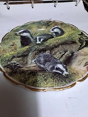 Buy Badgers Plate • 6£