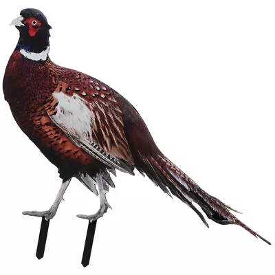Buy  Pheasant Garden Decoration Animal Figurines Outdoor Stakes Props • 8.83£