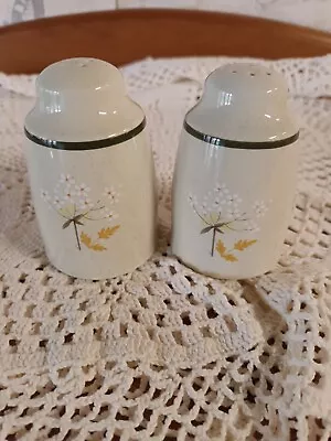 Buy Vintage Royal Doulton Lambethware Will O' The Wisp Salt And Pepper Shaker Pots • 10£
