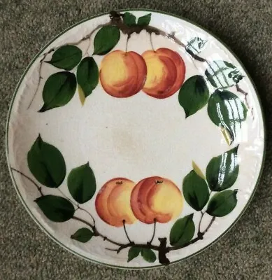 Buy Rare Antique Delton Ware Hand Painted Apples 8.25  Plate Newport Pottery Burslem • 25£