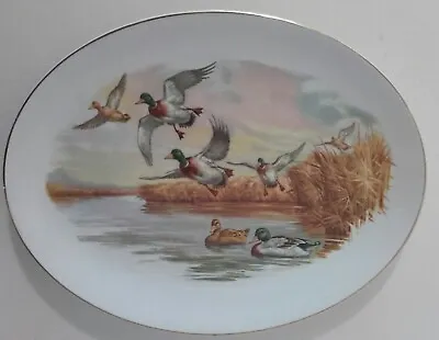 Buy Vintage Myott’s Fine White Ironstone Oval Serving Plate Duck Design  • 3.99£