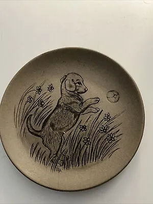 Buy Beautiful Poole England Pottery Plate With A Puppy Playing With A Ball Engraved • 4.50£