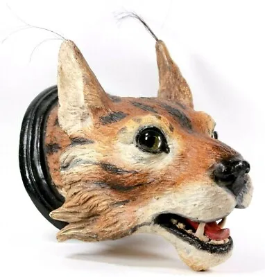 Buy Austrian Pottery LYNX Cat Taxidermy Trophy Mask Terracotta Mounted  Circa 1890 • 700£