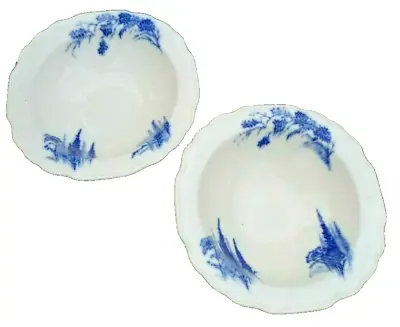 Buy Delphinium & Poppy Bowl Blue White Floral Myott & Sons England Lot Of 2 Antique • 14.22£