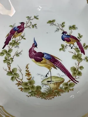 Buy Spode Fine Bone China Gilded Cereal Dish Y8555 Chelsea Bird • 19.99£