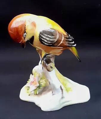 Buy Vintage Royal Adderley China Chickadee Bird Figurine In Very Good Condition  • 9.99£