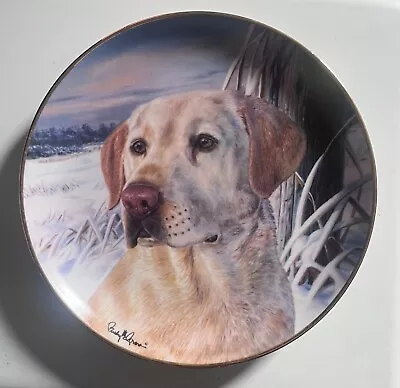 Buy Labrador Dog  Plate  - Mans Best Friend  - Franklin Mint • 5£