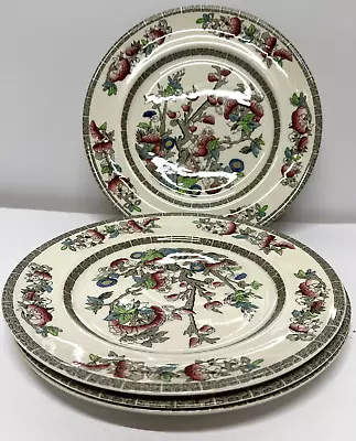 Buy Vintage Johnson Brothers Indian Tree Dinner Plate X 4 Plates Set Blossom 10  • 29.99£