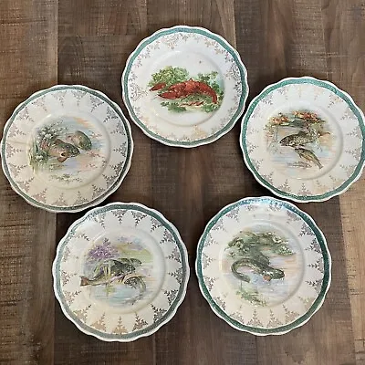 Buy Antique Sterling China Co. Aquatic Life Luncheon Plate, Set Of 5 • 237.17£