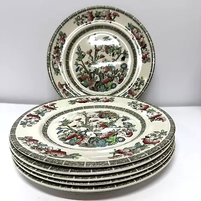 Buy Vintage Johnson Brothers Indian Tree Dinner Plate X 6 Set Blossom 9  • 32.50£