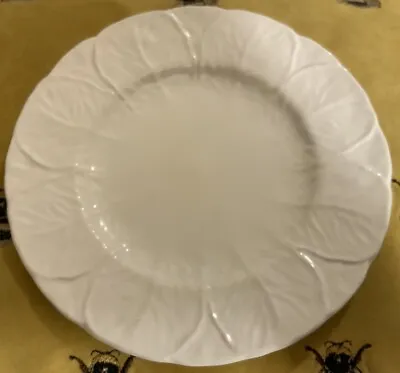Buy Coalport Bone China Countryware 8” Salad Luncheon Plate Cabbage Leaf • 30£