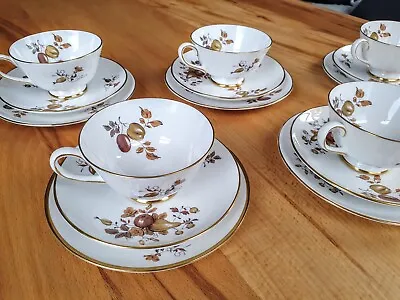 Buy Vintage Tuscan Bone China Tea Set For 5 People: Golden Harvest Trios Pattern • 39.59£