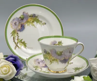 Buy Royal Doulton England Glamis Thistle Vintage Trio (Tea Cup & Saucer Plate) • 14.99£