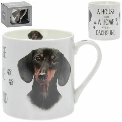 Buy Fine China Cute DACHSHUND Mug Ideal Gift For Sausage Dog Lovers Daschund Boxed • 8.50£