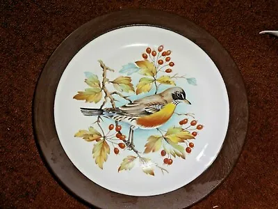Buy HORNSEA POTTERY CHAFFINCH 8in Plate • 3.99£