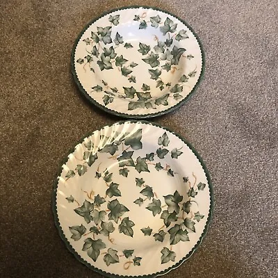Buy BHS Country Vine Rimmed Bowls X 2 - 9 Inches - British Home Stores • 12.99£