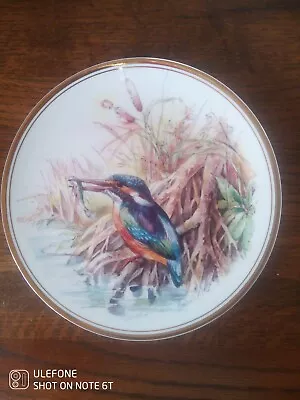 Buy Royal Vale Bone China Collector 'Kinfisher' Plate (20.5cm/8.25 ) • 8.50£