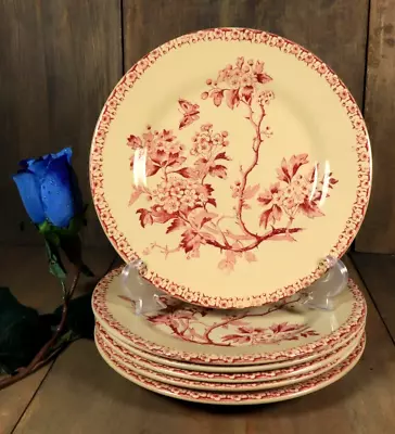 Buy 6 Antique Plates French Red Transferware Ironstone Set GIEN Aubepine Aesthetic • 167.29£