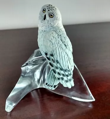 Buy Crystal Snowy Owl On Plinth • 3£