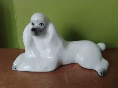 Buy Lomonosov Russia  White Poodle Porcelain Figurine -  Made In USSR • 12.99£