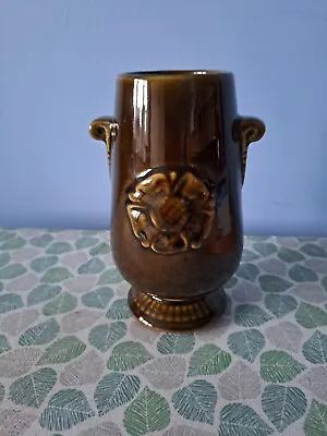 Buy Vintage Prinknash Pottery Vase In Brown Glaze • 8£