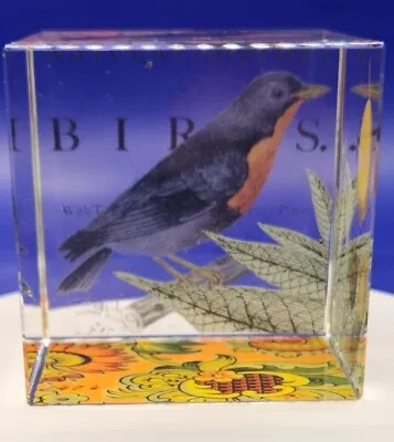 Buy Fringe Studio Robin Natural History Of Bird Design Glass Cube Paperweight Orange • 13.26£