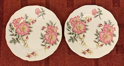 Buy 2 Adderley Floral Tea / Side Plates App 16cm • 4£