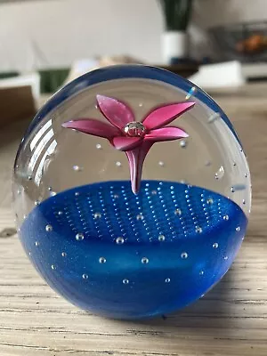 Buy Caithness Paperweight Flower In The Rain Royal Mint Scotland Pink Blue Glass • 10£